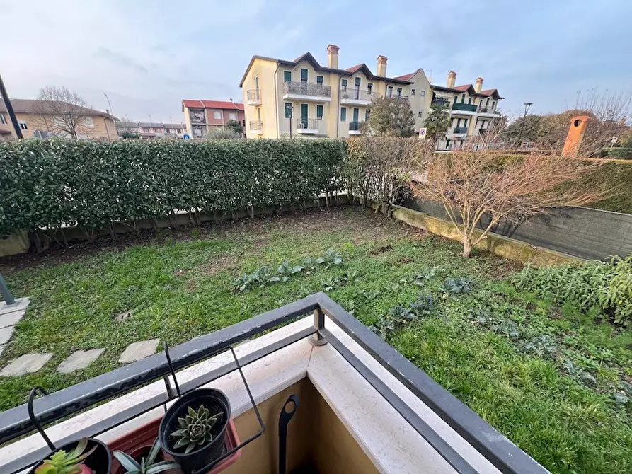 Immagine 21 di Appartamento in vendita  a Campagna Lupia