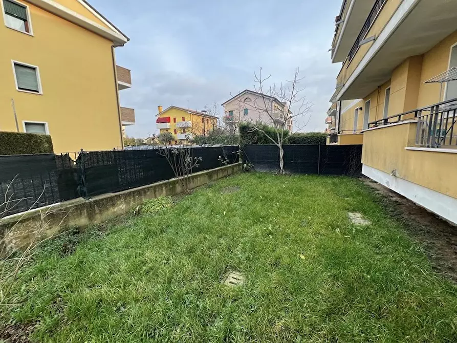 Immagine 23 di Appartamento in vendita  a Campagna Lupia