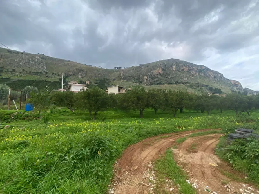 Immagine 13 di Villa in vendita  in VIA ALONGI a Misilmeri