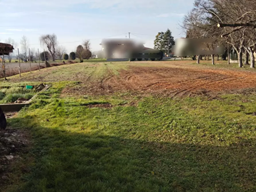 Immagine 9 di Casa indipendente in vendita  a Campolongo Maggiore