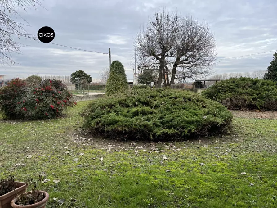 Immagine 11 di Casa indipendente in vendita  a Campolongo Maggiore