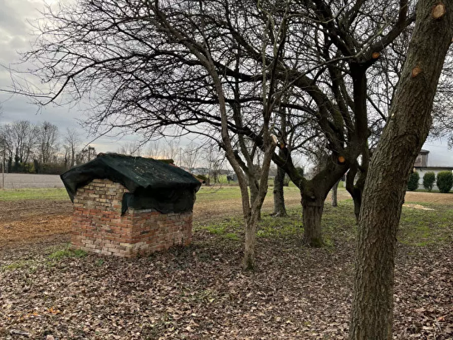 Immagine 12 di Casa indipendente in vendita  a Campolongo Maggiore