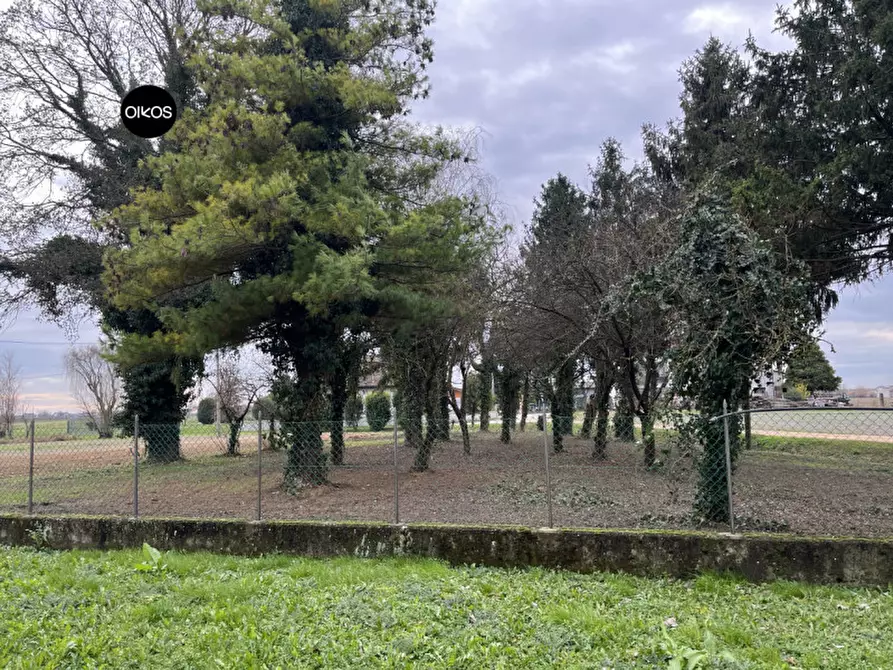 Immagine 13 di Casa indipendente in vendita  a Campolongo Maggiore