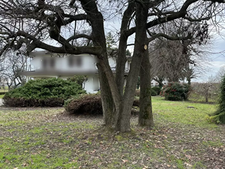 Immagine 14 di Casa indipendente in vendita  a Campolongo Maggiore