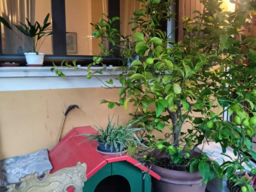 Immagine 3 di Villetta a schiera in vendita  in Via Andrea Palladio 16 a Brescia