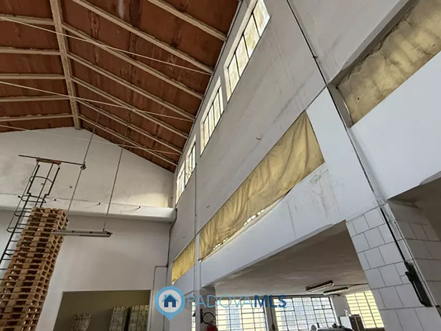 Immagine 5 di Magazzino in vendita  in Via Jacopo d'Avanzo a Padova