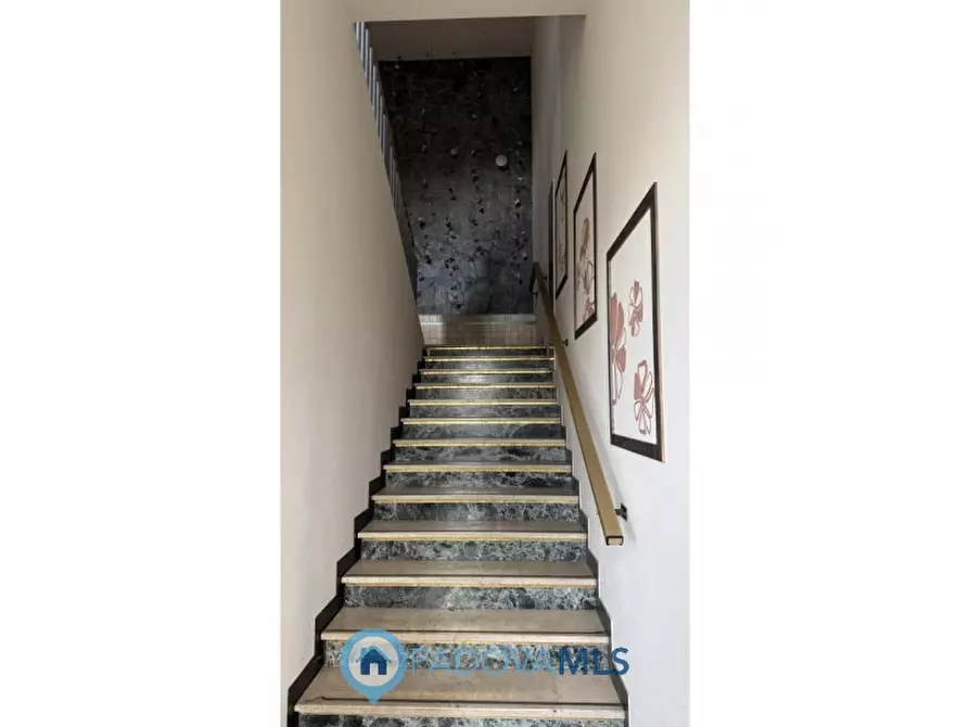 Immagine 6 di Magazzino in vendita  in Via Jacopo d'Avanzo a Padova