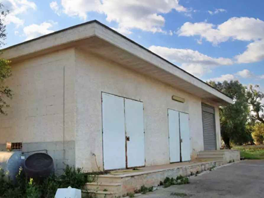 Immagine 3 di Capannone industriale in vendita  in C.da Scuole Pie –Falascuso, N. snc a Ceglie Messapico