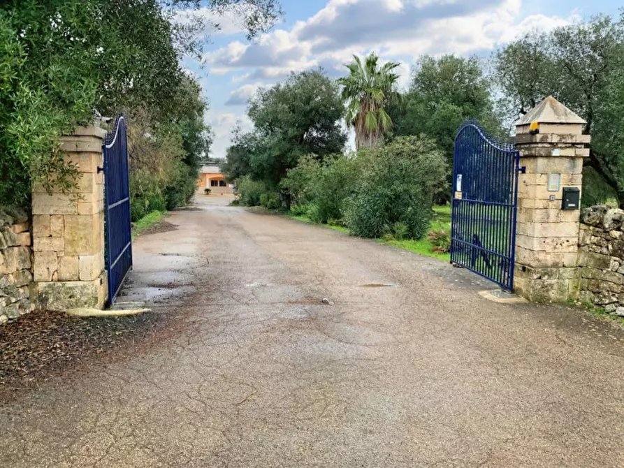 Immagine 4 di Capannone industriale in vendita  in C.da Scuole Pie –Falascuso, N. snc a Ceglie Messapico