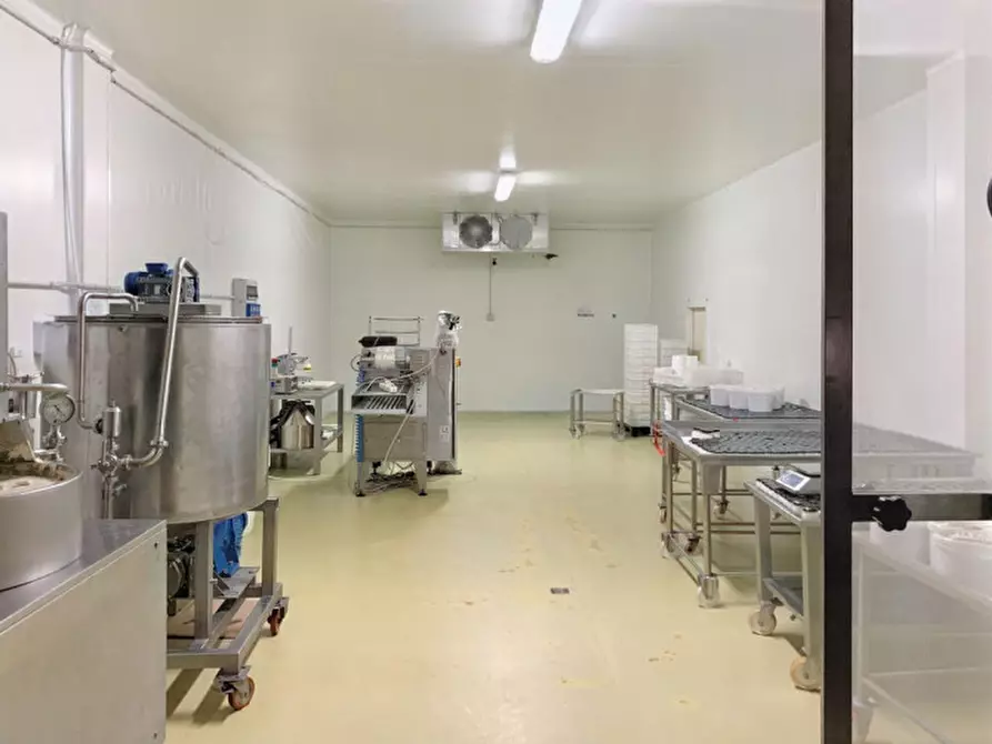 Immagine 9 di Capannone industriale in vendita  in C.da Scuole Pie –Falascuso, N. snc a Ceglie Messapico