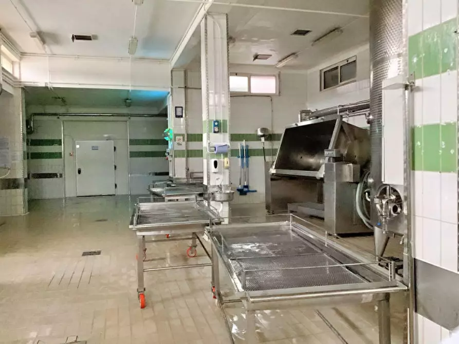 Immagine 10 di Capannone industriale in vendita  in C.da Scuole Pie –Falascuso, N. snc a Ceglie Messapico