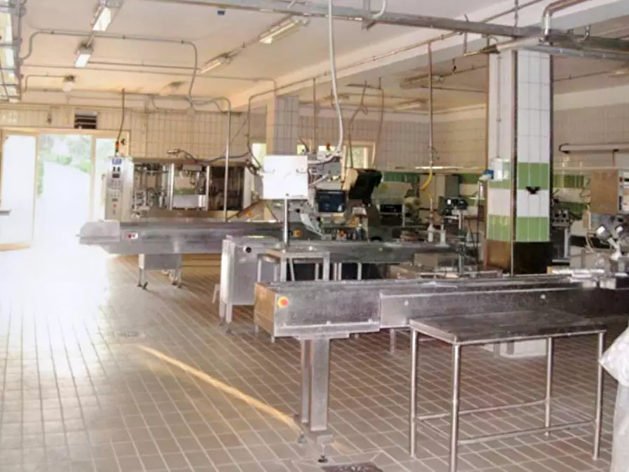 Immagine 11 di Capannone industriale in vendita  in C.da Scuole Pie –Falascuso, N. snc a Ceglie Messapico