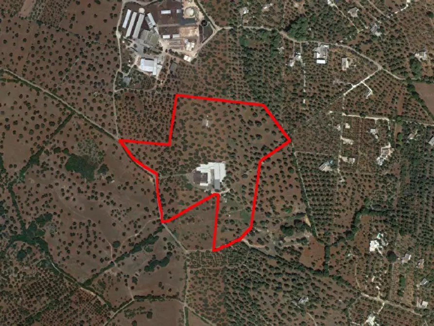 Immagine 18 di Capannone industriale in vendita  in C.da Scuole Pie –Falascuso, N. snc a Ceglie Messapico