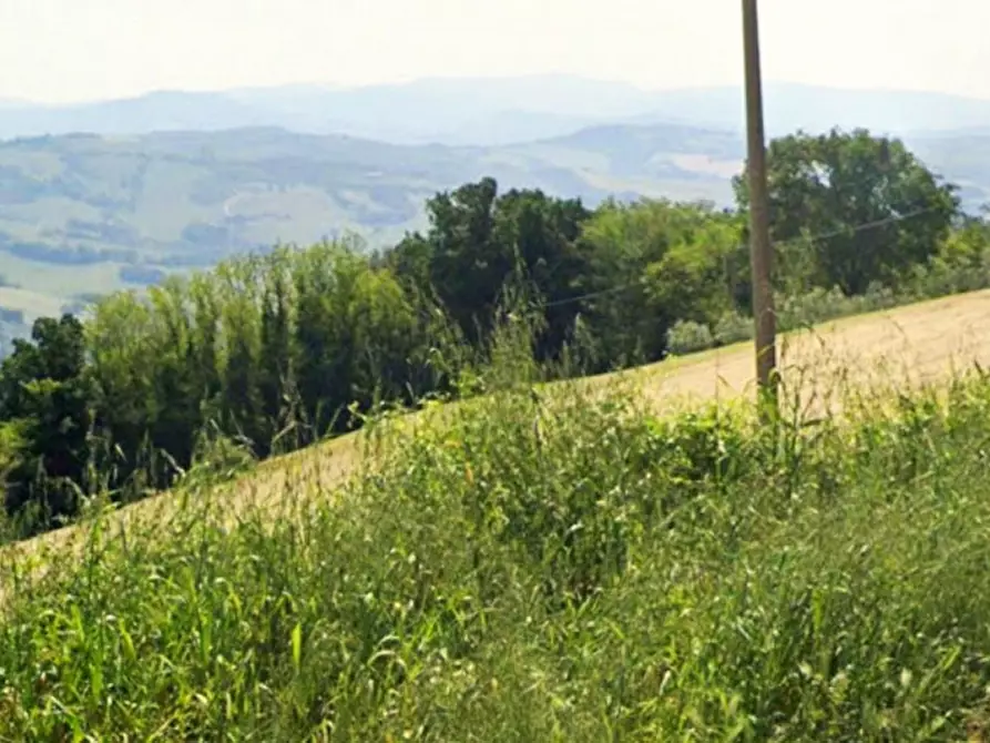 Immagine 1 di Terreno in vendita  in Ca' Angelino, 61020 Sassocorvaro Auditore PU, Italia a Sassocorvaro Auditore