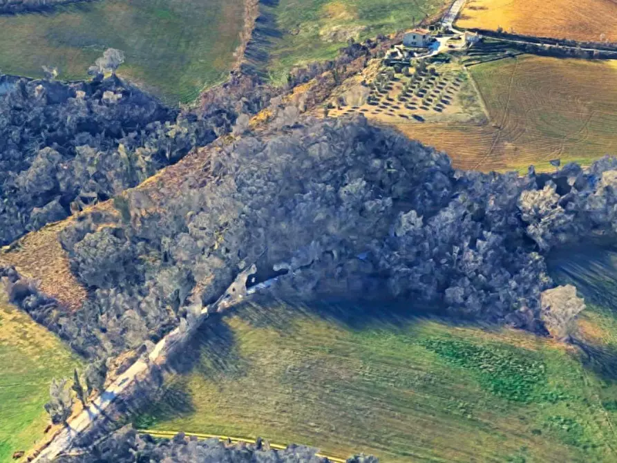 Immagine 4 di Terreno in vendita  in Ca' Angelino, 61020 Sassocorvaro Auditore PU, Italia a Sassocorvaro Auditore