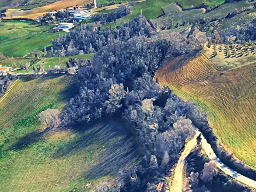 Immagine 5 di Terreno in vendita  in Ca' Angelino, 61020 Sassocorvaro Auditore PU, Italia a Sassocorvaro Auditore