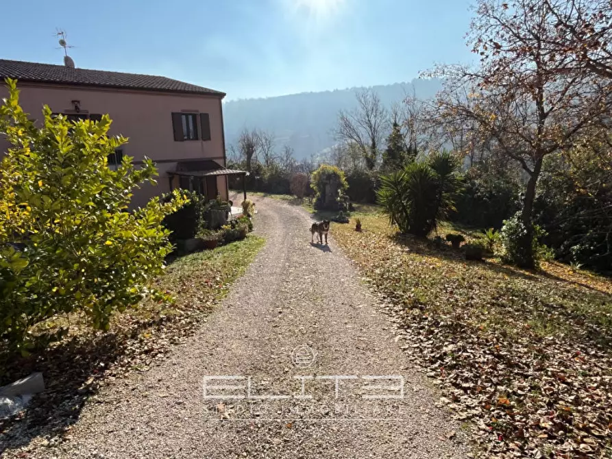 Immagine 6 di Casa trifamiliare in vendita  in via fornace a Ancona