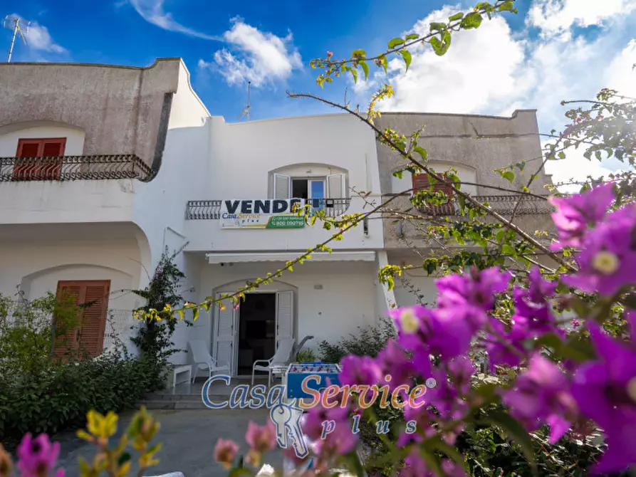 Immagine 21 di Casa indipendente in vendita  in Via orsa minore a Gallipoli