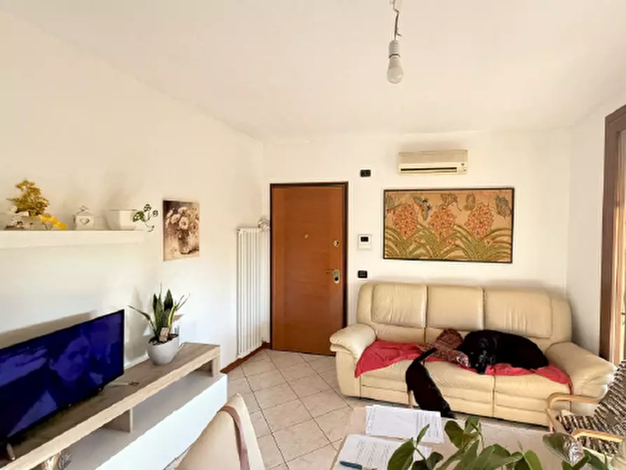 Immagine 2 di Appartamento in vendita  in Via Prati, 58 a Spinea