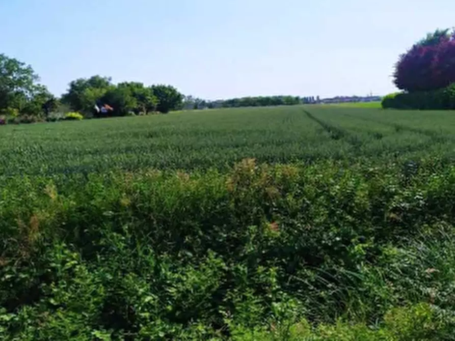 Immagine 1 di Terreno in vendita  in Via Piveran a San Donà Di Piave