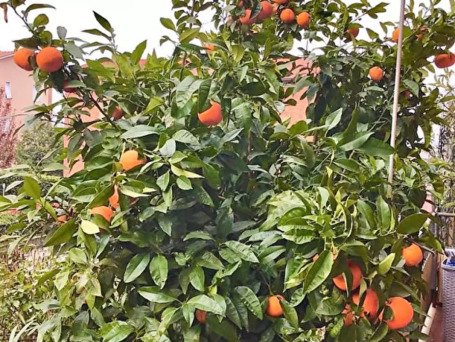 Immagine 39 di Appartamento in vendita  a Brescia