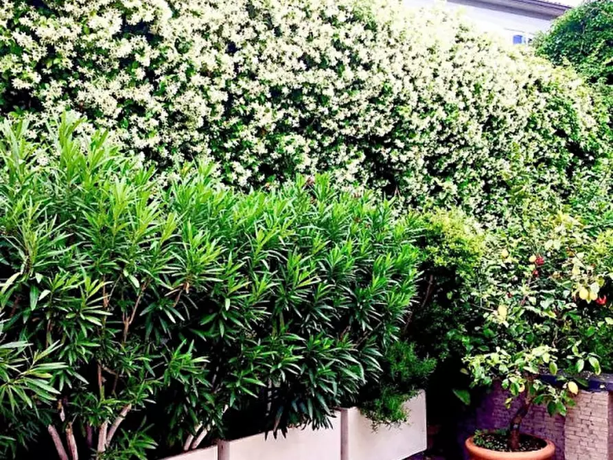 Immagine 41 di Appartamento in vendita  a Brescia