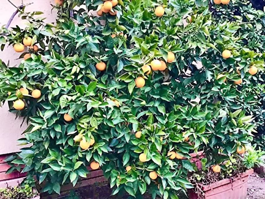 Immagine 42 di Appartamento in vendita  a Brescia