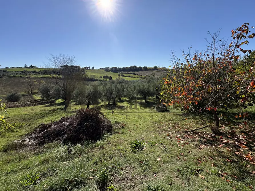 Immagine 17 di Villetta a schiera in vendita  in Vaiano a Castiglione Del Lago