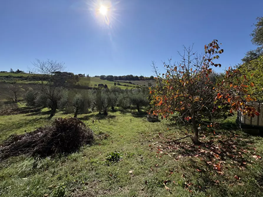 Immagine 21 di Villetta a schiera in vendita  in Vaiano a Castiglione Del Lago