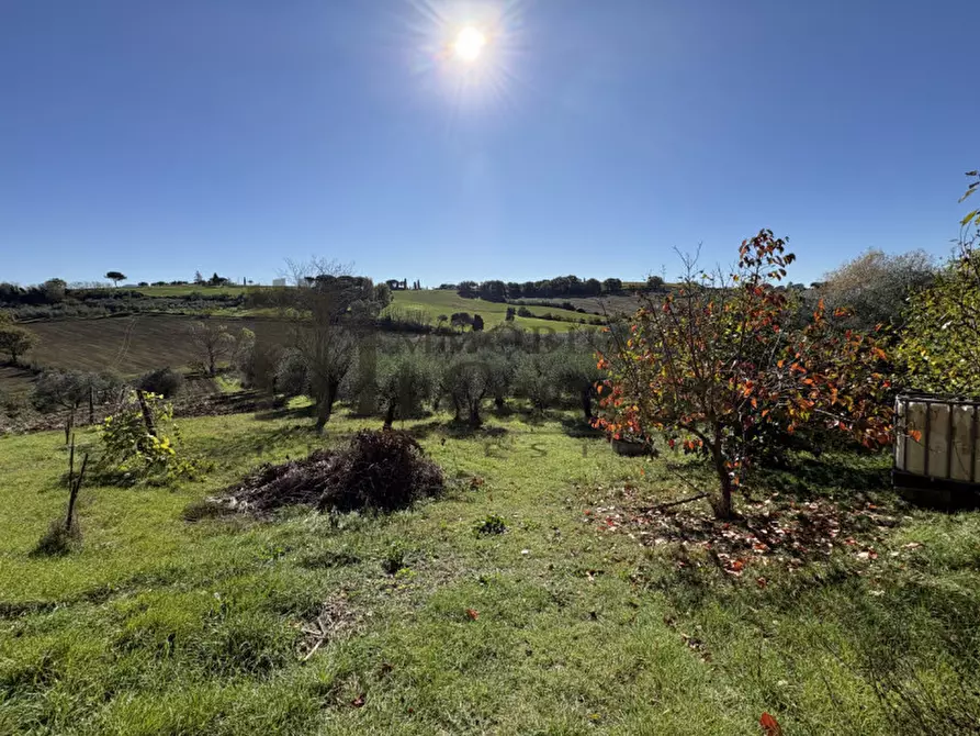 Immagine 23 di Villetta a schiera in vendita  in Vaiano a Castiglione Del Lago