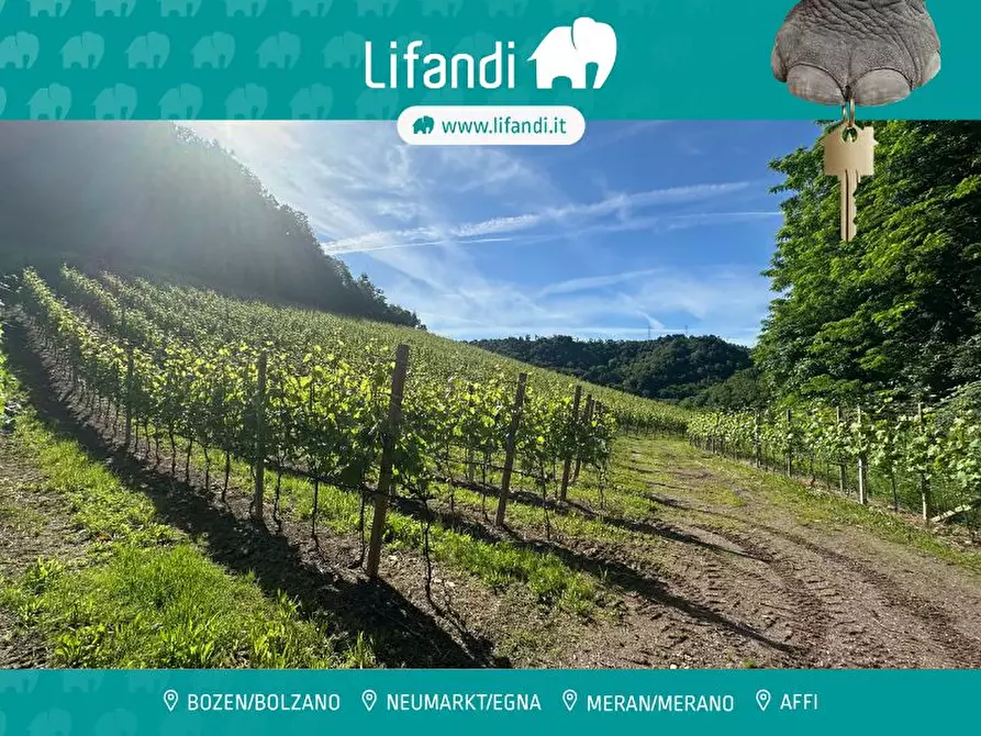 Immagine 1 di Terreno in vendita  a Appiano Sulla Strada Del Vino .Eppan An Der.