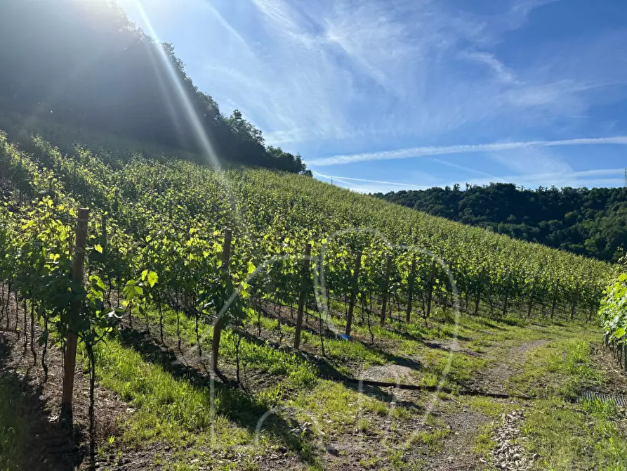 Immagine 3 di Terreno in vendita  a Appiano Sulla Strada Del Vino .Eppan An Der.