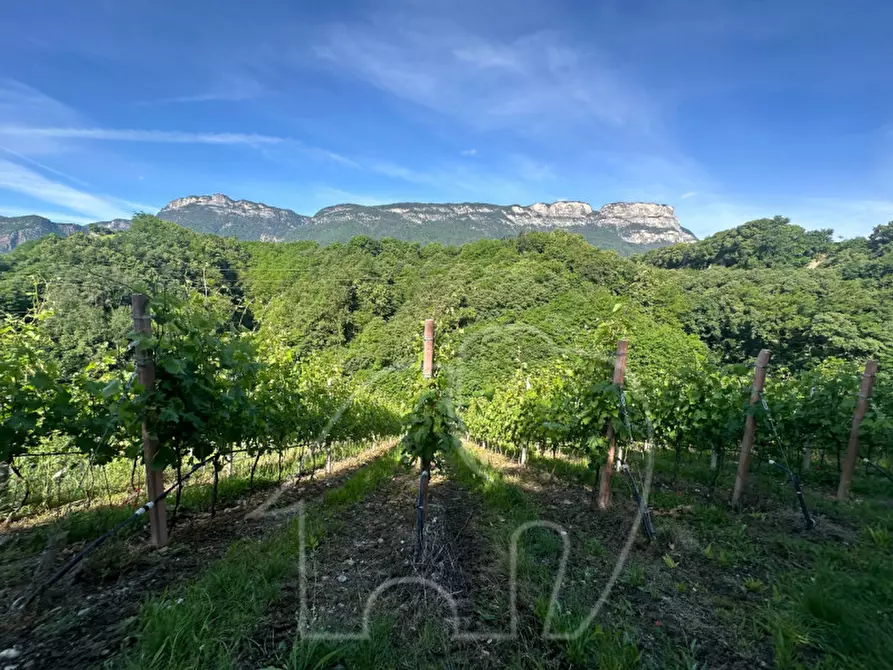 Immagine 7 di Terreno in vendita  a Appiano Sulla Strada Del Vino .Eppan An Der.