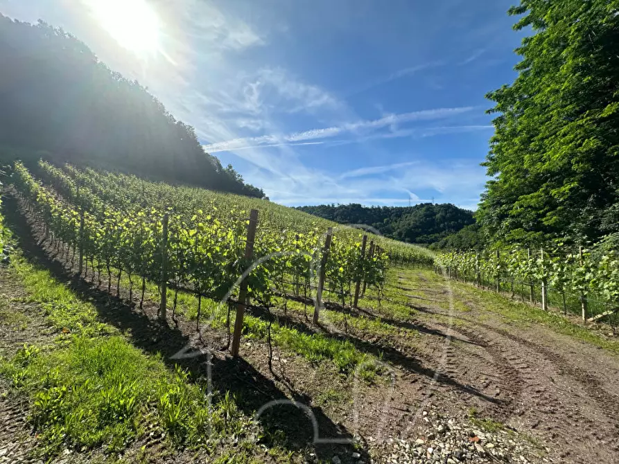 Immagine 9 di Terreno in vendita  a Appiano Sulla Strada Del Vino .Eppan An Der.