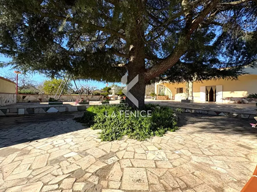 Immagine 17 di Rustico / casale in vendita  in strada votano a Martina Franca