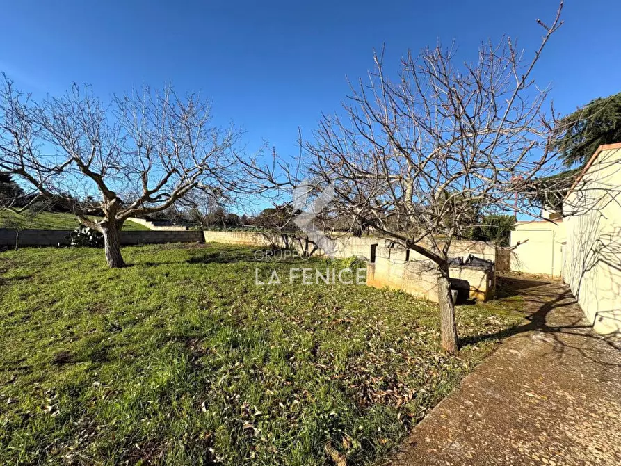 Immagine 19 di Rustico / casale in vendita  in strada votano a Martina Franca