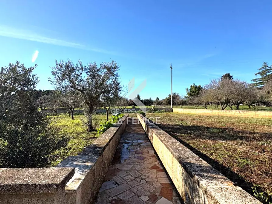 Immagine 27 di Rustico / casale in vendita  in strada votano a Martina Franca