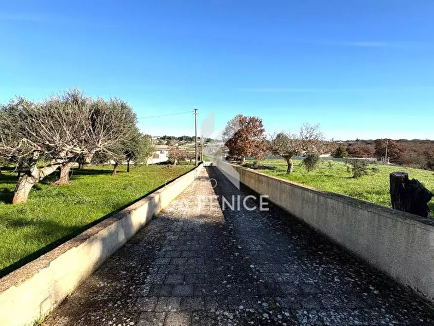 Immagine 47 di Rustico / casale in vendita  in strada votano a Martina Franca