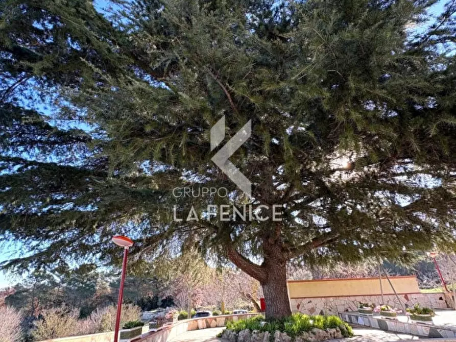 Immagine 49 di Rustico / casale in vendita  in strada votano a Martina Franca