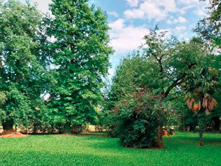 Immagine 4 di Casa indipendente in vendita  in Via Ghetto, 43 a Mogliano Veneto