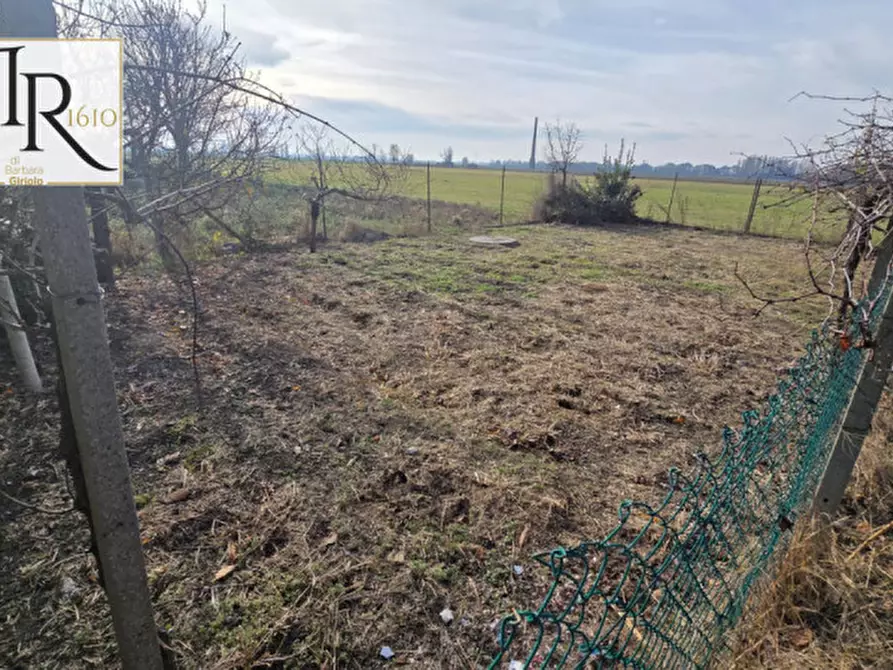 Immagine 15 di Casa indipendente in vendita  a Lusia