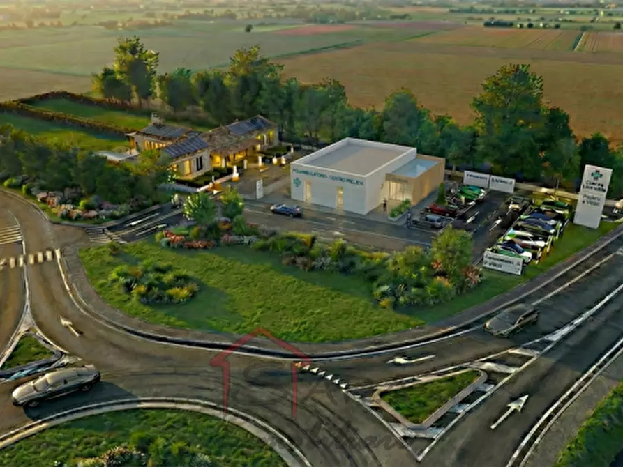 Immagine 15 di Terreno in vendita  in Via Androneghe 115 a Legnaro