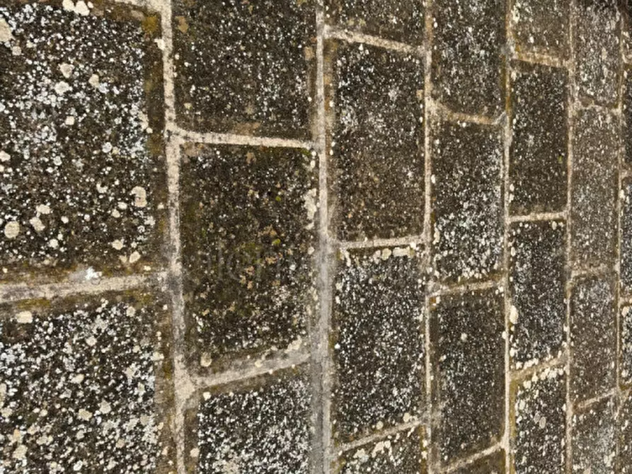 Immagine 51 di Casa indipendente in vendita  in Via Montecassino 7 a Parabita