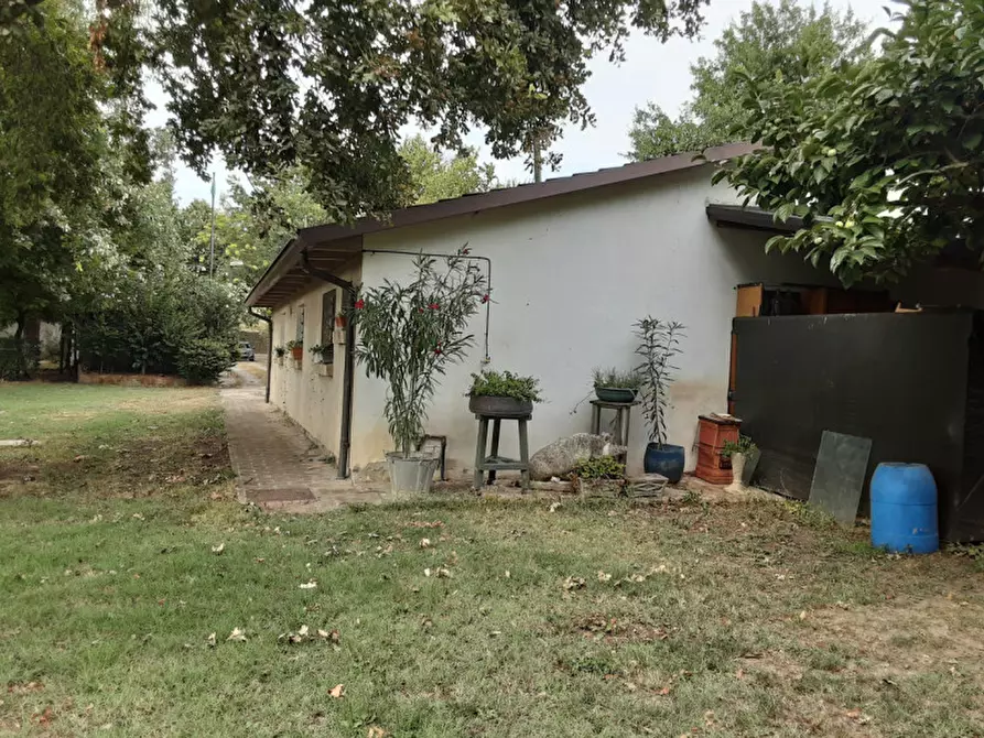 Immagine 1 di Rustico / casale in vendita  in Via Sott'Argine Motta a Carpi