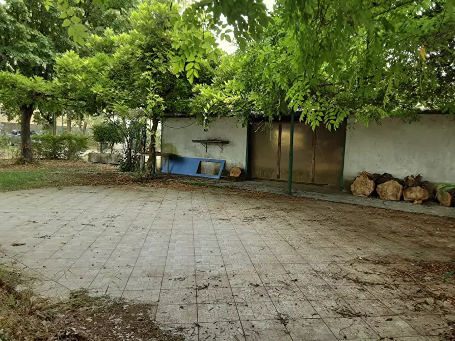 Immagine 3 di Rustico / casale in vendita  in Via Sott'Argine Motta a Carpi