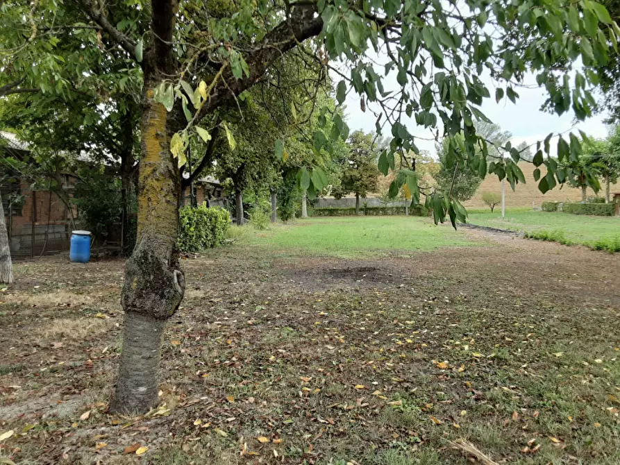 Immagine 4 di Rustico / casale in vendita  in Via Sott'Argine Motta a Carpi