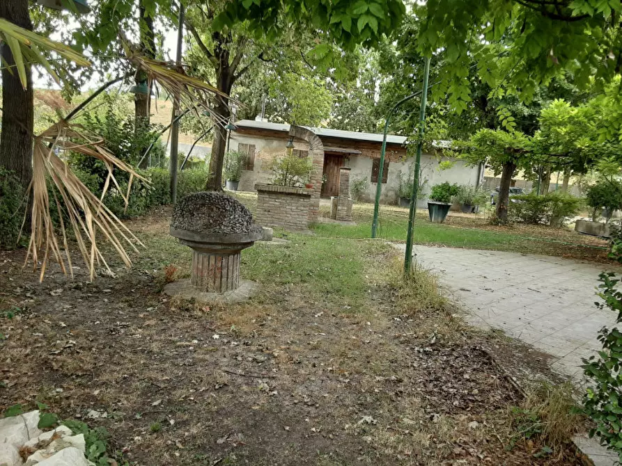 Immagine 5 di Rustico / casale in vendita  in Via Sott'Argine Motta a Carpi