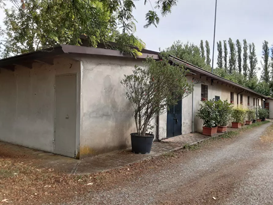 Immagine 6 di Rustico / casale in vendita  in Via Sott'Argine Motta a Carpi