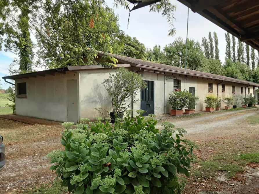 Immagine 9 di Rustico / casale in vendita  in Via Sott'Argine Motta a Carpi