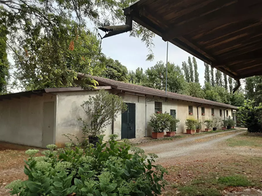 Immagine 10 di Rustico / casale in vendita  in Via Sott'Argine Motta a Carpi